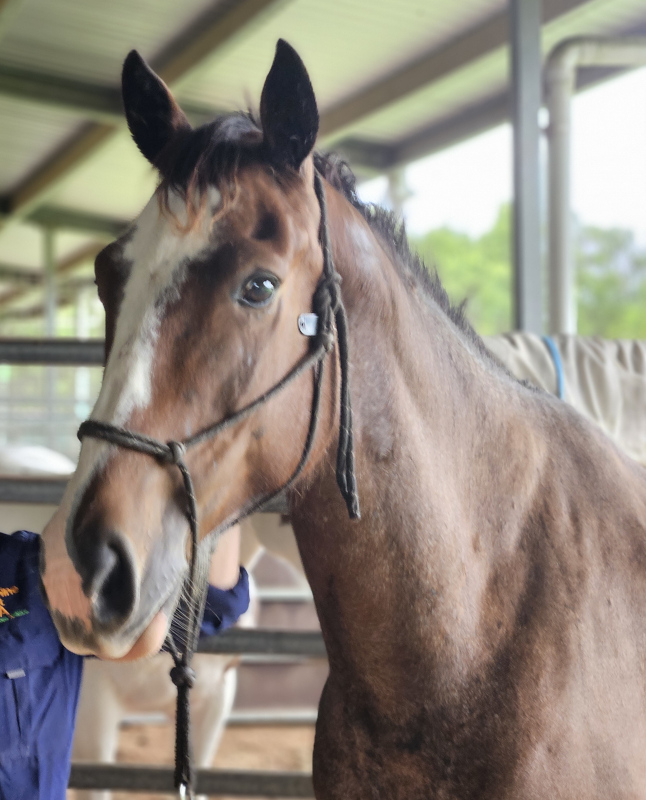 with Megan March 25 crop